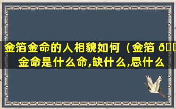 金箔金命的人相貌如何（金箔 🐧 金命是什么命,缺什么,忌什么）